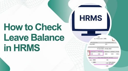 Check Leave Balance in HRMS