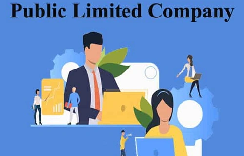 Public Limited Company