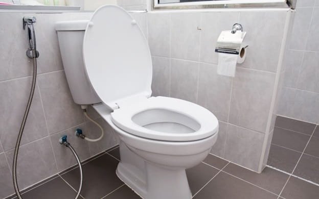 Types of Toilet Fixtures: Urinal, Commode, and Water Closet