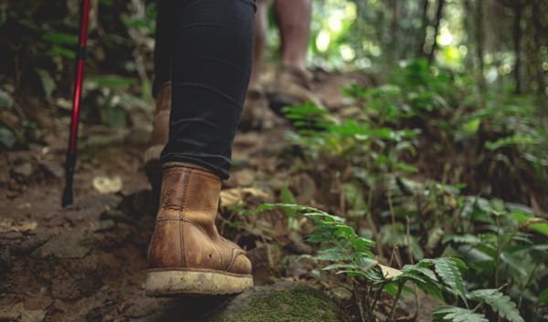 Trekking Shoes