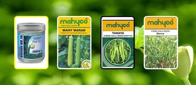 Mahyco (Maharashtra Hybrid Seeds Company)