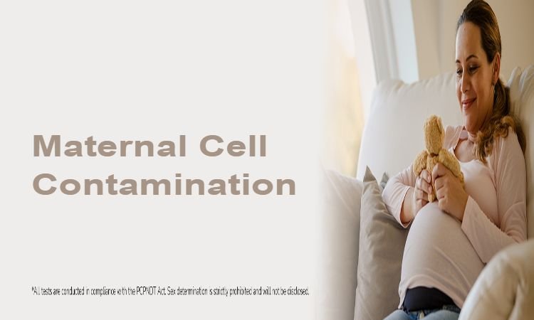 Prenatal Genetic Testing