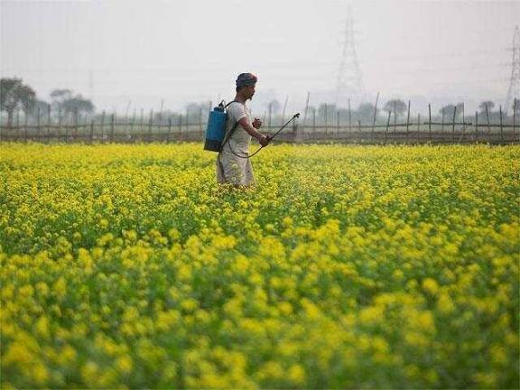 Is Buying Agricultural Land as a Non-Farmer Legal